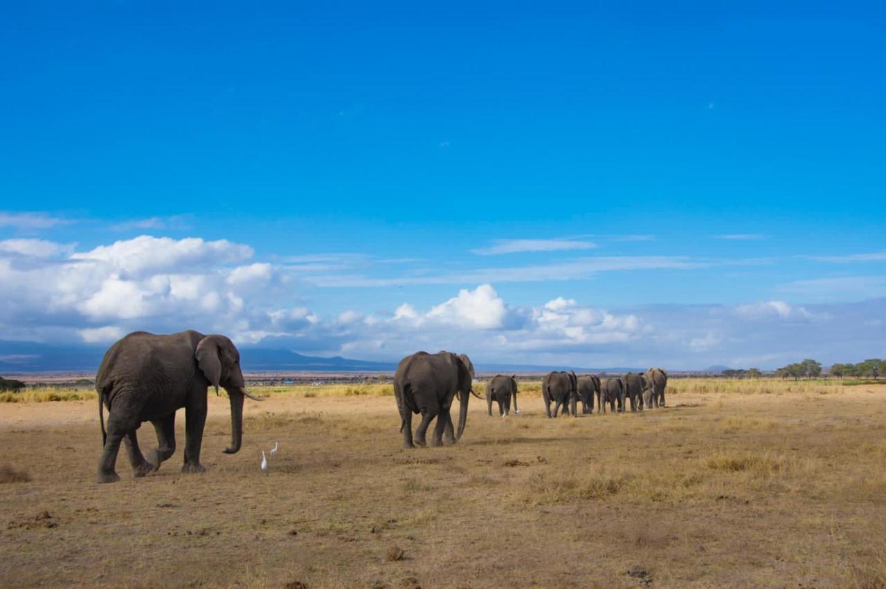 Amboseli Cultural Camping Exteriér fotografie