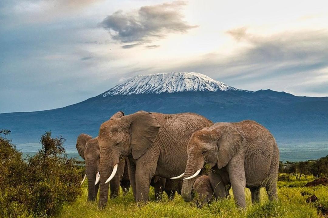 Amboseli Cultural Camping Exteriér fotografie