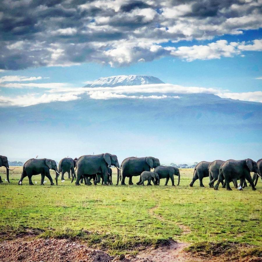 Amboseli Cultural Camping Exteriér fotografie